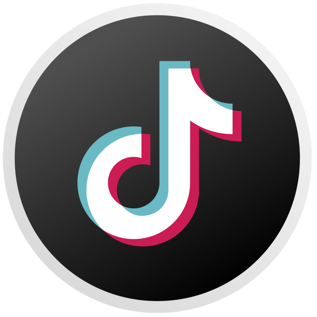 TikTok Logo
